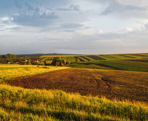 Wall Mural - spring yellow flowering rapeseed and small farmlands fields