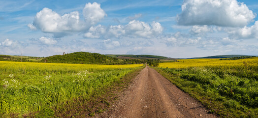 Wall Mural - spring countryside view with dirty road, rapeseed yellow blooming fields, village, hills. ukraine, l