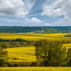 Wall Mural - spring countryside view with rapeseed yellow blooming fields, groves, hills. ukraine, lviv region.