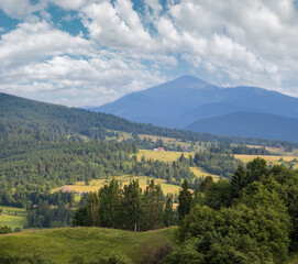 Wall Mural - Picturesque summer Carpathian mountain countryside, Ukraine.