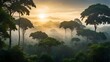Symbolbild Dschungel im Amazonas