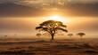 Symbolbild einzelner Baum in der afrikanischen Savanne