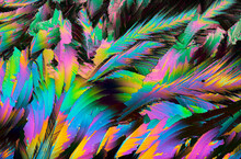 Vibrant Abstract Feather Texture With Rainbow Colors