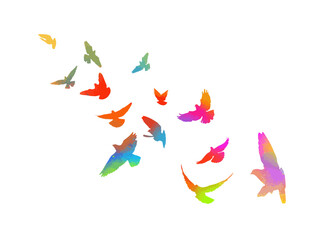 Wall Mural - A flock of colored birds. Not AI, Vector illustration