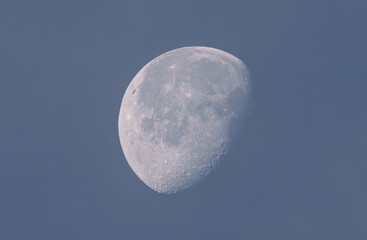 Wall Mural - Waxing moon during daylight with blue sky background