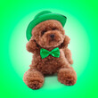 canvas print picture - St. Patrick's day celebration. Cute Maltipoo dog with leprechaun hat and bow tie on green background