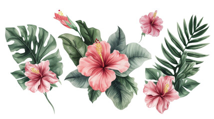 Wall Mural - Watercolor floral illustration frame, Tropical flowers, green leaves isolated transparent background. PNG Format.