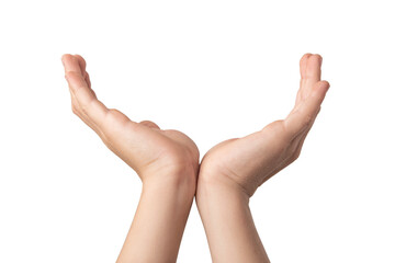 Close up of man hands holding something, isolated on white background.