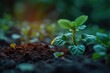 © ADDICTIVE STOCK - Sprouting plant in soil - symbol of growth and new life Generative AI image