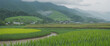 Spring Japan mountain country side. Wide format.
