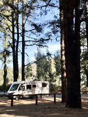 Modern motorhome camper van rv vehicle parking in the outdoors nature park with high scenic trees in background. Concept of travel and alternative vanlife house vacation. Freedom life and holiday