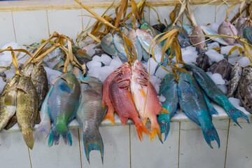 Wall Mural - Colorful fresh fish at a market in Medina.