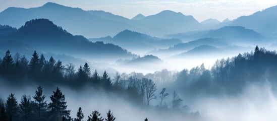 Wall Mural - Nature's symphony unfolds as mist envelopes mountains and trees, creating a tranquil scene of morning magic.