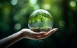 Against a backdrop of blurred greenery, a hand supports a glass globe housing a growing tree, illustrating the eco-friendly ideology.