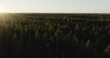 Sunset Serenity: Aerial Perspective of a Coniferous Forest in Sweden