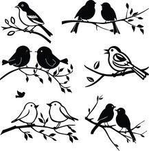 Birds On Branch Silhouette  Vector Illustration 

