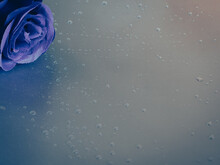 Water Drops With Purple Fake Roses On Silver Aluminum Background For Copy Space, Valentine's Day Concept.