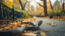 A Snake Is On The Ground In A Park. Generative AI.