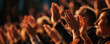 © FATHOM - Audience clapping their hands at a large event