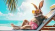 Osterhintergrund, Cooler Hipster Osterhasen sitzt entspannt mit Sonnenbrille und rosa Badehose im Liegestuhl am Strand unter Palme