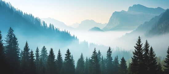 Wall Mural - Rustic mountain scenery with coniferous trees on a misty sunny morning