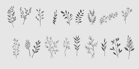 set floral branch and minimalist leaves for logo or tattoo. hand drawn line wedding