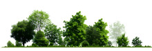 Green Trees On Transparent Background