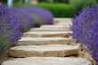 rustic stepping stones, with outoffocus rows of lavender flanking them