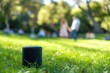speaker on grass with blurry couple swaying gently at a park