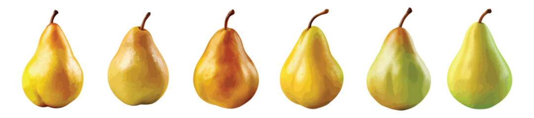 Wall Mural - Pear vector set isolated on white background