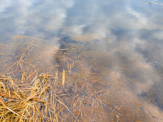 glare and reflections on the water. the sky is reflected in the water. Background of waves, reflections, refractions and abstract diffractions, in the blue, clean and crystalline water. trees are refl