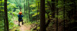 un enfant en train de faire de la tyrolienne dans la forêt, format panoramique avec espace vide