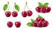 Realistic isolated ripe raw cherry berries, vector fresh fruit food. 3d sour or sweet red cherries bunches with green leaves and stems, garden juicy fruits for cocktail, pie, jam or dessert ingredient
