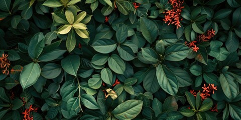 Wall Mural - A vibrant image featuring a bunch of green leaves and red flowers. Perfect for adding a pop of color to any project