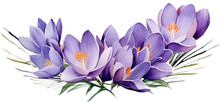 Watercolor Crocus Flower And Leaves Composition PNG Graphic Clipart For Print Template Card Cover Design