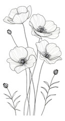 Wall Mural - Minimalist line art flowers are elegant and simple.