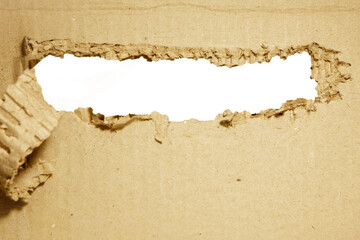 Torn Brown corrugated cardboard, background texture for design work.