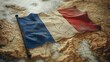 © ckybe - The French Flag on the Global Map.