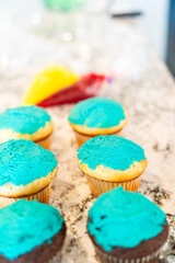 Wall Mural - Decorating Cupcakes with Cactus-Shaped Buttercream Frosting