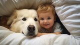 Fototapeta Przestrzenne - Small child lies on a bed with a dog. Dog and cute baby childhood friendship. Little boy and Dog
