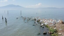 Amazing Shot Of The Pelicans In The Chapala´s Lake, The Drone Is Flying Over The Misty Lake