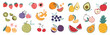 Set of colorful fruit element vector. Different fresh fruit design of apple, strawberry, banana, orange, mango with hand drawn pattern.  Illustration for branding, sticker, fabric, clipart, ads.