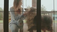 Young Happy Woman Playing Having Fun With Her Dog Purebred Collie Black Fluffy Fur, Girl Stroking Pet's Muzle, Playing Outside In Yard, Window View Of House. Siamese Cat Looks Jealous Of Owner's Love