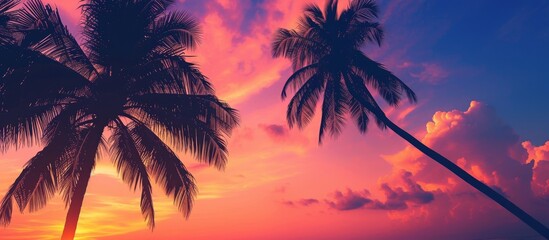 Wall Mural - Palm tree outlines against sunset sky