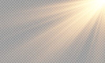 Wall Mural - light vector with sun glare. sun, sunrays, and glare in png format. gold flare and glare.