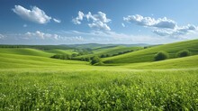 Beautiful countryside in Ukraine Europe Summertime nature photo of lush green pastures and clear blue sky Explore Earth s beauty Copy space image Place for adding text or design 