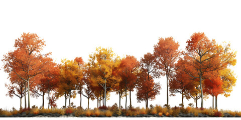 Wall Mural - Autumn forest on transparent background PNG