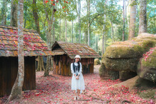 Asian Woman Visitting And Enjoying With Red Maple Foliage And Wooden Hut In School Of Political And Military At Phu Hin Rong Kla National Park