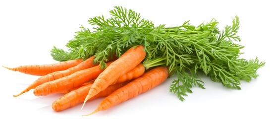 Sticker - A dish featuring a bunch of carrots, a staple food and root vegetable, with green leaves, set against a white background. The natural foods and ingredients add freshness to the cuisine.