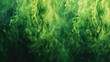 Green fire painted texture, abstract green fire and smoke background design